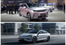 Popularitas BYD Terus Meroket, Penjualan Mobilnya di Tanah Air Tumbuh Cepat