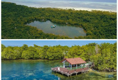 Pulau Kapota dalam Lintasan Sejarah: Bukti Kejayaan Budaya Maritim di Selatan Wakatobi