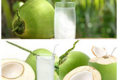 Rahasia Alami Air Kelapa untuk Menjaga Tubuh Tetap Sehat dan Bugar!
