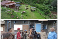 Kampung Koboi Tugu Selatan, Wujud Transformasi Desa Berbasis Potensi Lokal dalam Program Desa BRILiaN