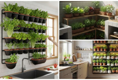 Kebun Sayur Rumahan Terintegrasi Dapur: 10 Ide Praktis untuk Masakan Bergizi