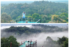 Mengulik Sejarah Bukit Peramun, Jejak Pengobatan Tradisional yang Kini Jadi Destinasi Wisata Modern