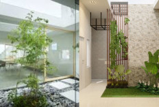 Model Rumah Minimalis Kecil Tapi Terasa Luas dengan Taman Dalam!