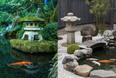 Desain Kolam Ikan Minimalis Nuansa Kerajaan Tiongkok yang Estetik dan Unik!