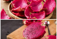 Jangan Langsung Dibuang! Simak 7 Manfaat Hebat Kulit Buah Naga untuk Kesehatan yang Masih Jarang Diketahui