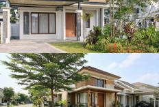 5 Ide Halaman Rumah Tanpa Pagar Depan: Tampilan Lebih Luas, Asri, dan Bernuansa Modern