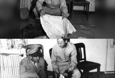 Menguak Insiden Roswell 1947: Misteri Jatuhnya UFO yang Menghebohkan AS dan Menjadi Konspirasi Terbesar 