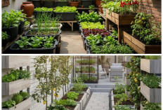 8 Inspirasi Kebun Sayur di Atas Paving: Solusi Lahan Sempit yang Tetap Hijau dan Rapi