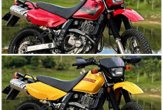 Motor Adventure Suzuki DR650 2026 Jadi Primadona di Eropa, Ini Alasannya!