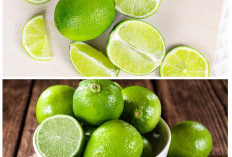 Jarang Disadari! Ini Khasiat Hebat Jeruk Nipis bagi Kesehatan!