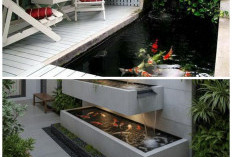 Sulap Lahan Sempit Jadi Healing Space, Ini 9 Ide Teras Minimalis dengan Kolam Koi yang Estetik