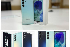 Galaxy M55 Jadi HP Paling Banyak Dicari pada Awal 2025 Berkat Performa Kencang, Kamera Unggul!
