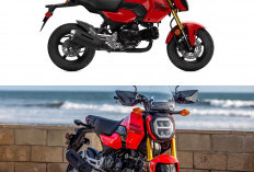 Ini Alasan Honda Grom 2026 Jadi Perbincangan Pecinta Otomotif