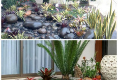 Taman Batu Kali: 5 Ide Desain yang Bikin Rumah Minimalis hingga Tropis Lebih Asri