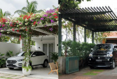 Carport Minimalis dengan Tanaman Rambat, Solusi Peneduh Natural Kekinian!