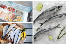 Cara Menyimpan Ikan Segar Tanpa Freezer: Tetap Awet Saat Listrik Padam