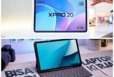 Infinix Xpad 20 Resmi Hadir: Performa Canggih, Baterai Tahan Lama, Tablet Murah Terbaik 2026