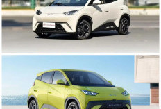 Mobil Listrik Mini 2026 Cuma Rp200 Jutaan! Fitur Modern, Jarak Tempuh Tembus 300 Km!