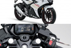 Desainnya Berubah Total! Begini Penampakan Suzuki Seri GSX 250 cc 2-Silinder Terkini