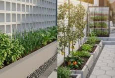 Inspirasi Kebun Sayur Halaman Depan dengan Pot Semen, Rumah Jadi Lebih Hijau!