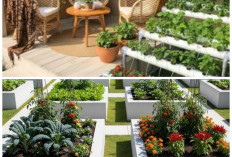 Rumah Makin Estetik! 10 Inspirasi Kebun Mini Modern dengan Planter Box Beton