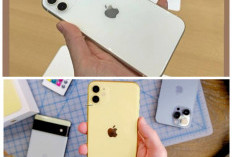 Review Terbaru HP iPhone 11: Benarkah Kualitas Kameranya Bisa Menyaingi DSLR?