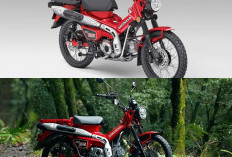 Honda CT125 Terbaru Jadi Perbincangan, Motor Trail Retro dengan Teknologi Modern