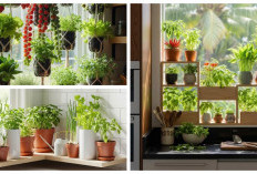 10 Ide Kebun Sayur Mini di Jendela Dapur, Bikin Ruang Sempit Jadi Produktif!