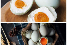Telur Bebek, Superfood Alami! Rahasia Menjaga Stamina dan Vitalitas Sehari-hari