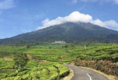 Pendakian Gunung Dempo Ditutup Sementara