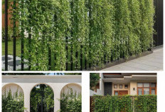 Pagar Besi 2026 Makin Stylish! Kuat, Modern, dan Dipenuhi Sentuhan Hijau!