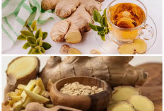 5 Khasiat Air Jahe yang Jarang Disadari, Rahasia Sehat Alami untuk Tubuh Setiap Hari