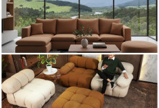 5 Alasan Sofa Modular Berukuran Besar Cocok untuk Ruang Open Plan yang Fleksibel dan Modern