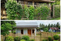 Ide Pagar Bambu Estetik: Sentuhan Alami untuk Mempercantik Halaman Rumah