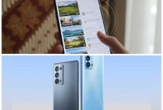 Oppo F25 Pro Jadi Penantang Baru Samsung, Bawa Fitur Unggulan dan Desain Modern