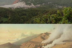 Mengenal Sejarah Gunung Papandayan dan Pesona Alam yang Menakjubkan
