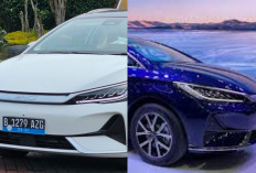 Kupas Tuntas BYD M6: Kelebihan dan Kekurangannya Sebelum Beli!