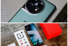 Review Kamera OnePlus 11: Hasil Foto Tajam, Disebut Saingi iPhone Generasi Terbaru