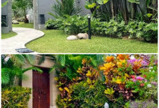 Inspirasi Membuat Taman Elegan Bergaya Bali di Halaman Rumah Perkotaan