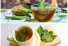 Rahasia Daun Salam: Manfaat Luar Biasa untuk Kesehatan Tubuh yang Jarang Diketahui!