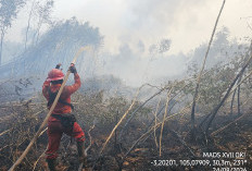 Kabut Asap Karhutla Mulai Ganggu Udara, Disdik Sumsel Siapkan Opsi Pengurangan Jam Belajar