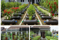Modal Botol Bekas, Halaman Jadi Cantik! 8 Inspirasi Kebun Cabai Kekinian!