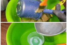 Tak Perlu Ganti Baru, Ini Cara Ampuh Membersihkan Kerak dan Jamur pada Gayung