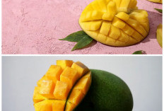 Manfaat Mangga Arumanis untuk Kesehatan Tubuh, Manisnya Bikin Nagih tapi Kaya Nutrisi