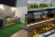 Ide Teras Rumah dengan Akuarium, Sentuhan Alami untuk Ketenangan dan Keindahan!