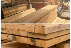 Keunggulan Kayu Bengkirai, Pilihan Kuat dan Awet untuk Bangunan di Segala Kondisi Cuaca