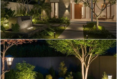 Seni Cahaya: Strategi Lighting Taman untuk Suasana Dramatis, Aman, dan Estetik