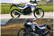 Honda XL750 Transalp 2026 Resmi Meluncur, Kini Dilengkapi Teknologi E-Clutch untuk Kendali Maksimal