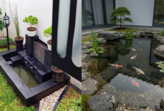 Kolam Ikan Minimalis: Sentuhan Sederhana yang Bikin Rumah Lebih Hidup!