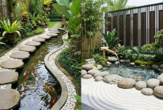Ide Kolam Ikan Mini di Halaman Sempit agar Rumah Lebih Sejuk!